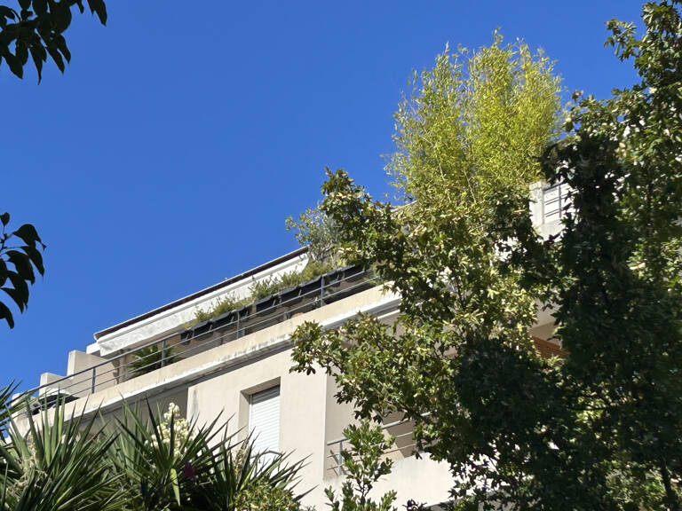 T2 Sainte Marguerite  terrasse et garage 13009 Marseille — photo 1
