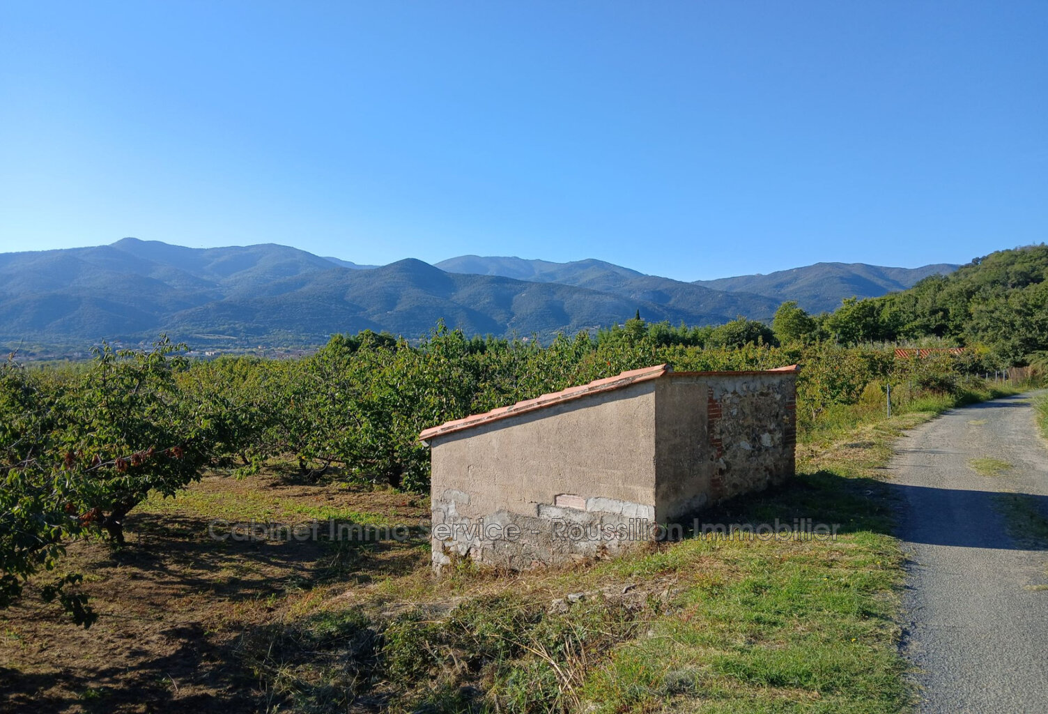 vente terrain agricole — photo 1