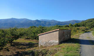 Terrain  7121 m² à vendre à Céret (66400)