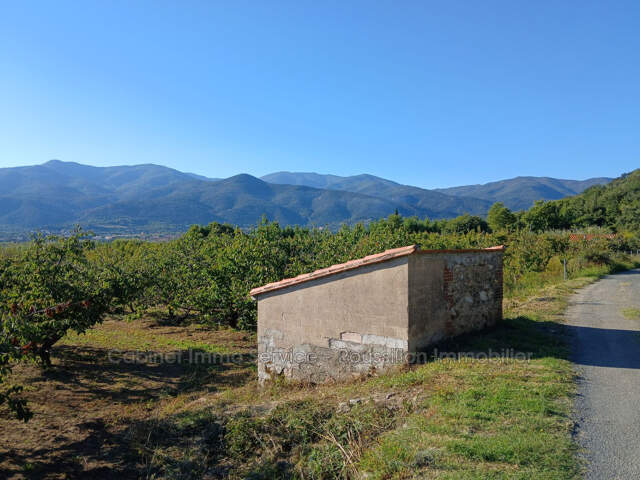 vente terrain agricole — photo du bien