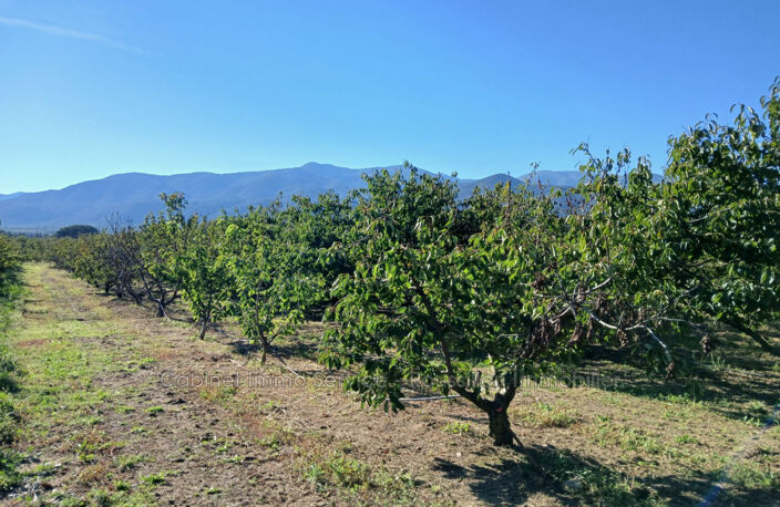 vente terrain agricole — photo 3