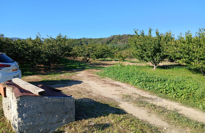 vente terrain agricole — photo 4