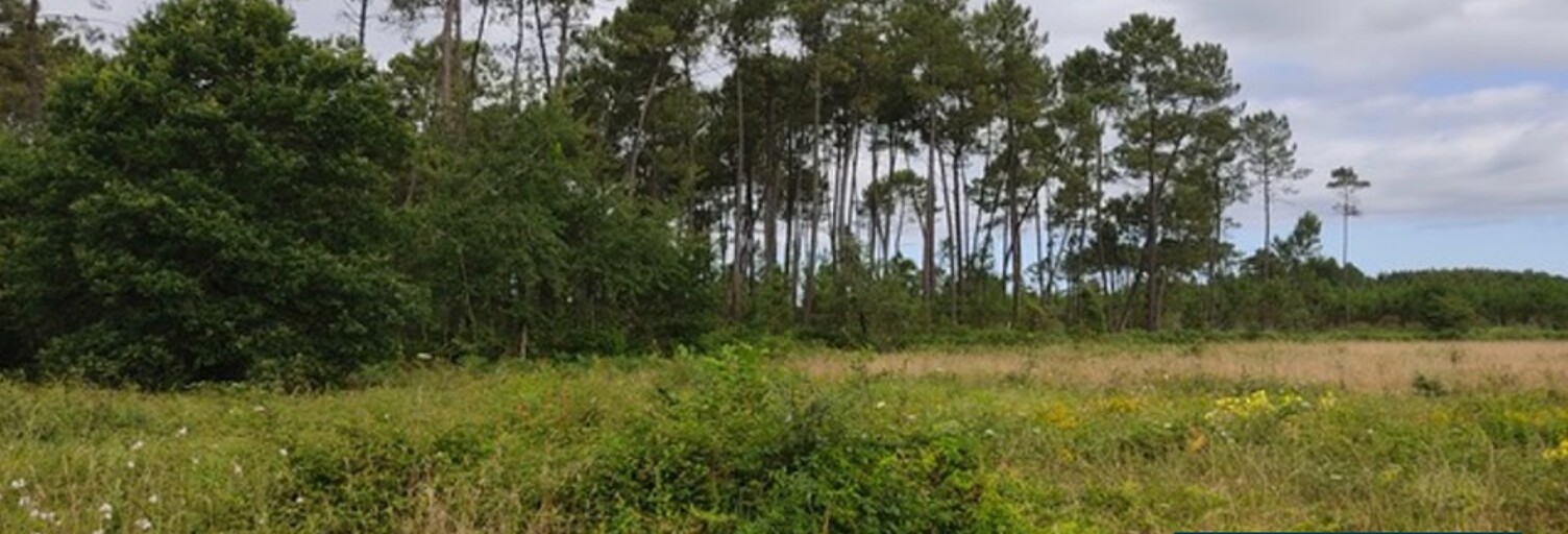 Terrain  675 m² à vendre à Saint-Yaguen (40400)