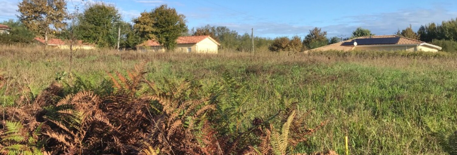 Terrain  1633 m² à vendre à Betbezer-d'Armagnac (40240)