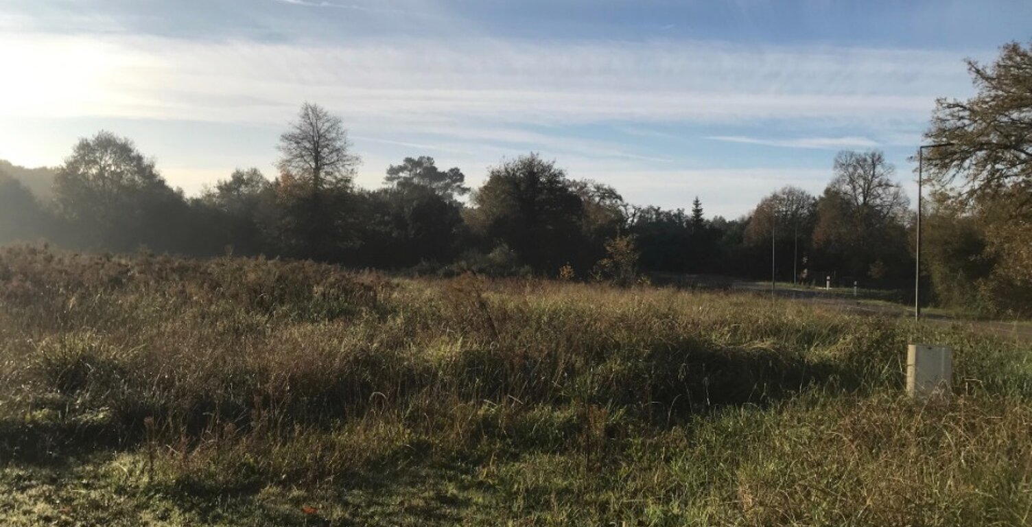 Terrain à bâtir à Labrit (40420) — photo 1