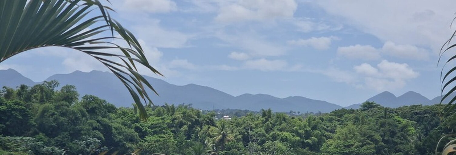 Maison 5 Pièces 147 m² à vendre à Baie-Mahault (97122)