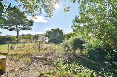 Terrain  210000 €