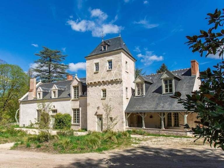 Chateau du XIV eme siècle superbement restauré a 10min de Blois — photo 1