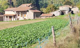 Maison 9 Pièces 153 m² à vendre à Saint-Martin-de-Valamas (07310)