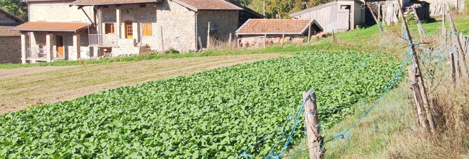 Maison 9 Pièces 153 m² à vendre à Saint-Martin-de-Valamas (07310)