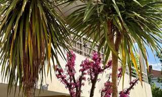 Appartement 2 Pièces 49 m² à vendre à Carcassonne (11000)