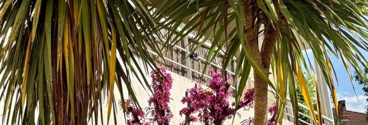 Appartement 2 Pièces 49 m² à vendre à Carcassonne (11000)