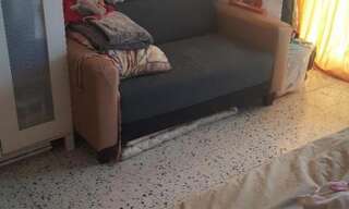 Appartement 1 Pièce 10 m² à louer à Montpellier (34000)