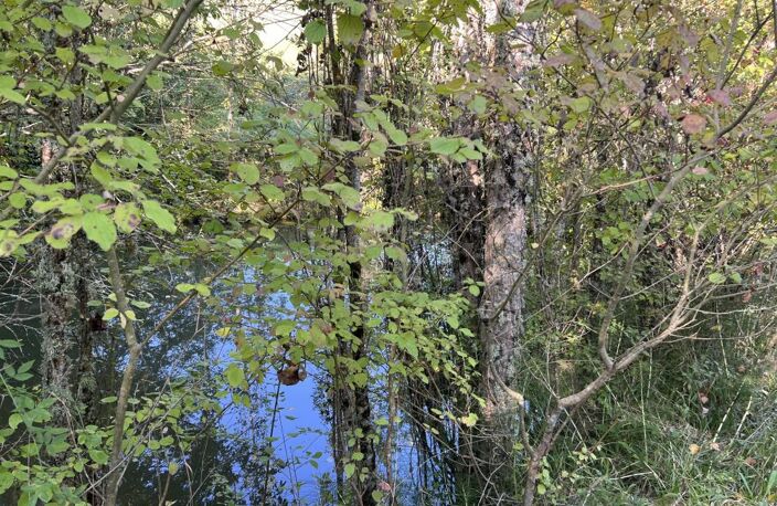 Terrain agricole avec source et lac — photo 4
