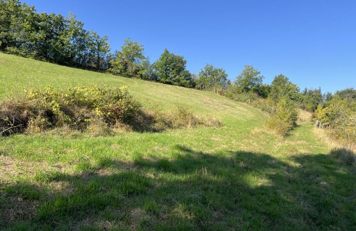Terrain agricole avec source et lac — photo 5