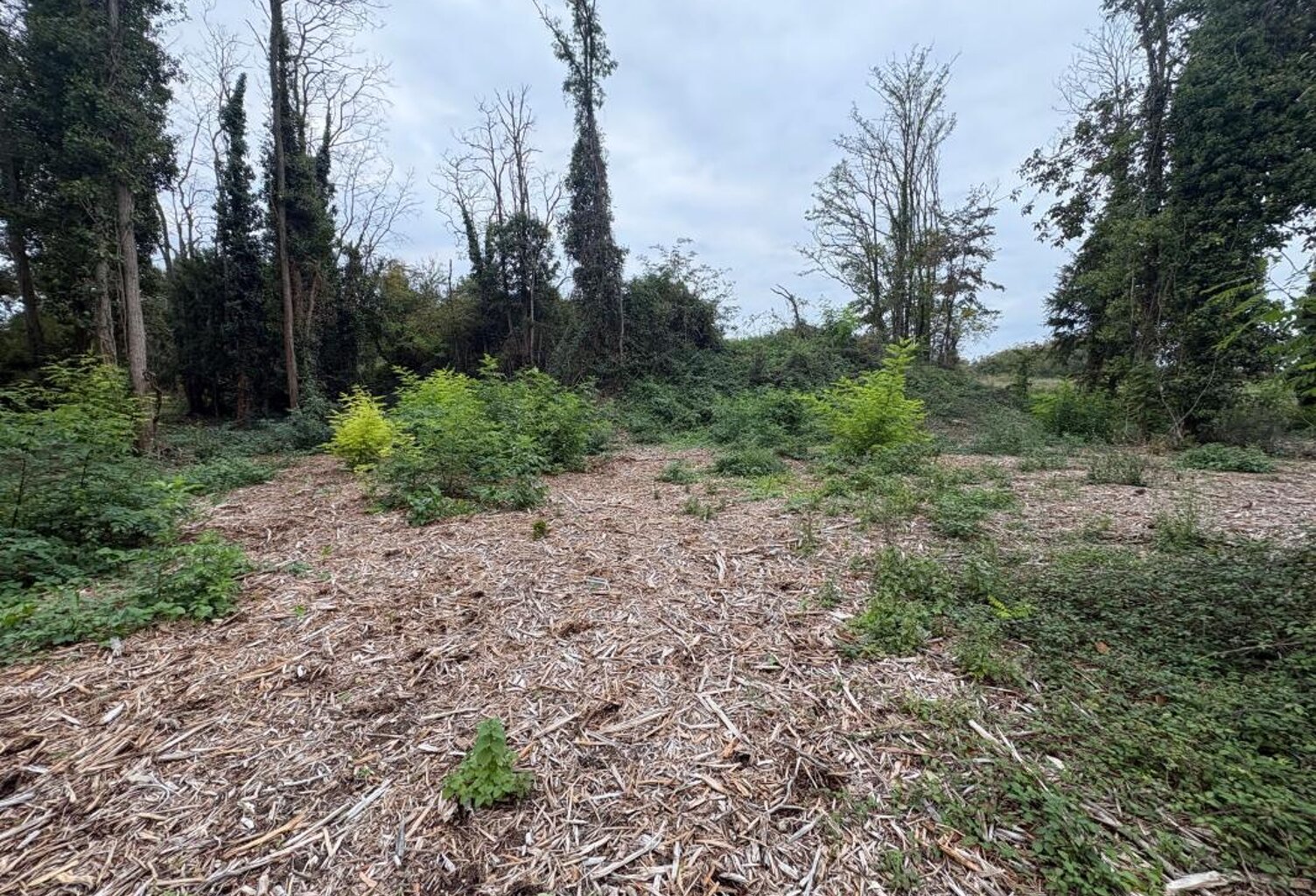 3965m² constructible à Beaugency — photo 1