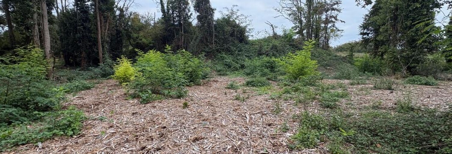 Terrain  3965 m² à vendre à Beaugency (45190)