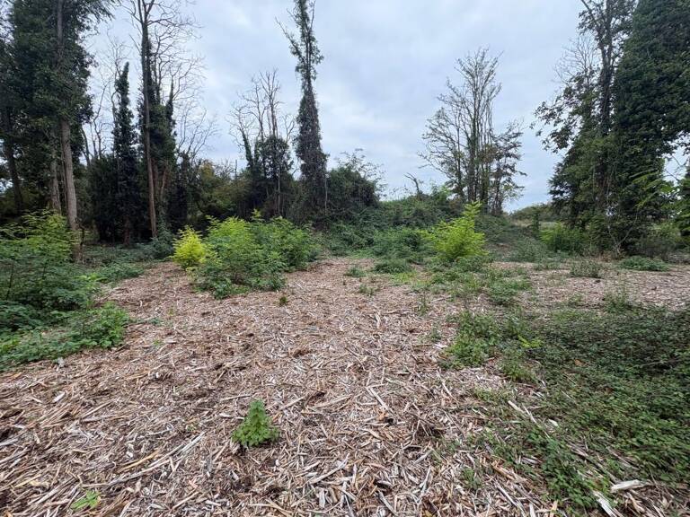 3965m² constructible à Beaugency — photo 1