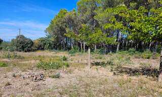 Terrain  3360 m² à vendre à Vendémian (34230)