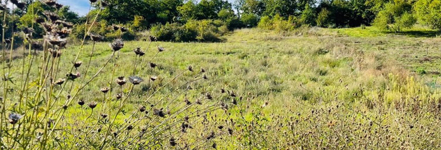 Terrain  945 m² à vendre à Nogent-le-Roi (28210)