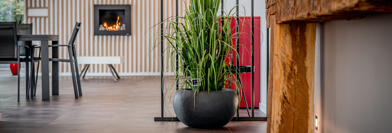 Maison 6 Pièces 234 m² à vendre à Brumath (67170)