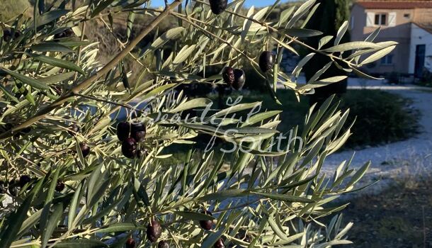 Villa / Maison 16 pièces  à vendre Perpignan 66000