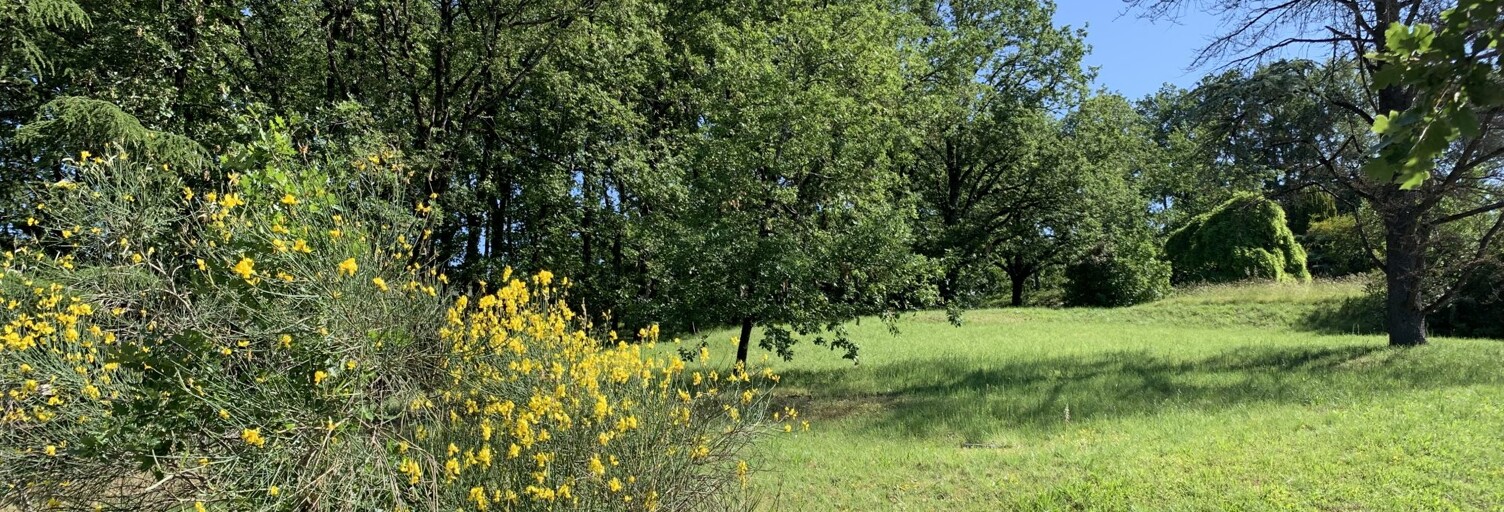 Terrain  2019 m² à vendre à Albi (81000)