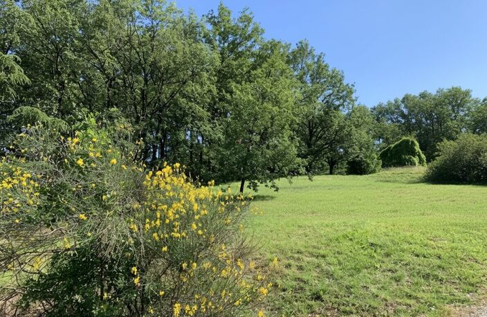 VENTE TERRAIN PUYGOUZON — photo 2