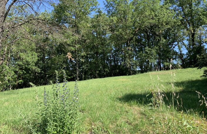 VENTE TERRAIN PUYGOUZON — photo 3