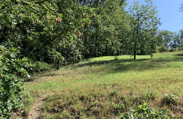 VENTE TERRAIN PUYGOUZON — photo 4