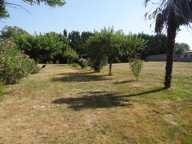 Réf. annonce : 9885 - VIAGER OCCUPE - CASTELNAU PICAMPEAU (31) — photo 2