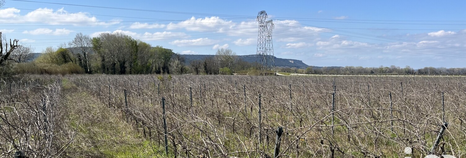 Terrain  14290 m² à vendre à Codolet (30200)