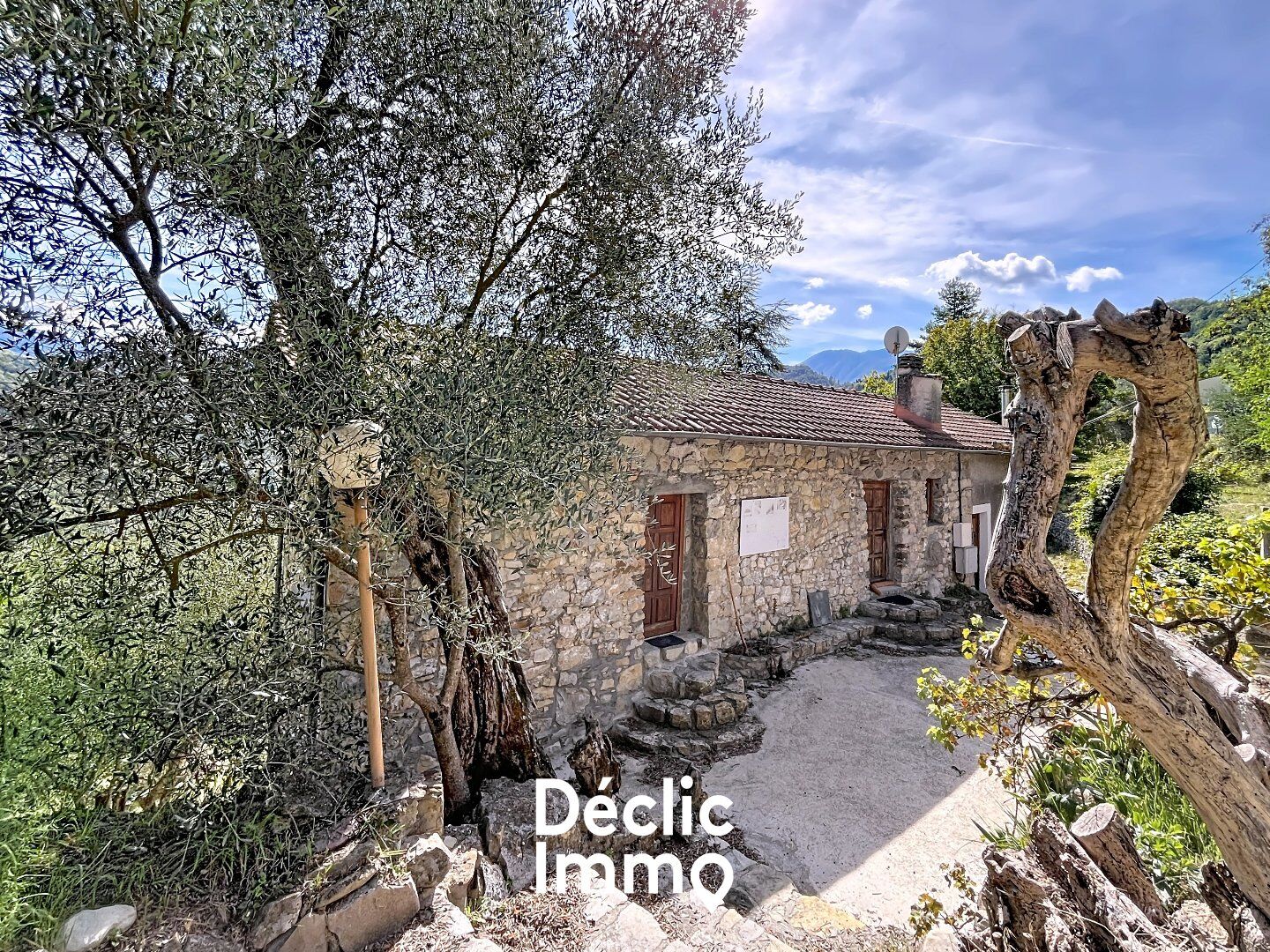 Villa / Maison  T16 à vendre Tournefort 06420