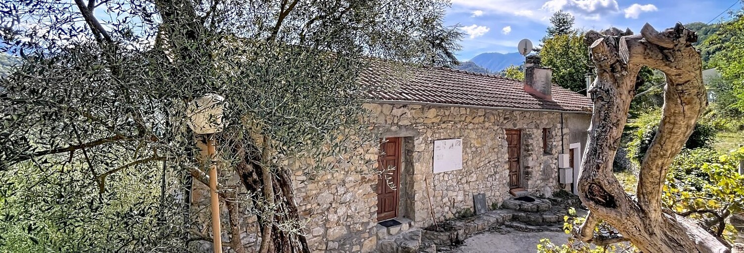 Maison 16 Pièces 440 m² à vendre à Tournefort (06420)