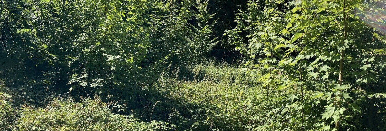 Terrain  2000 m² à vendre à Rebais (77510)