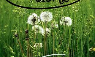 Terrain  815 m² à vendre à Aubignosc (04200)