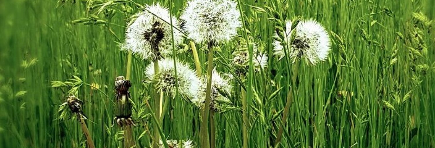 Terrain  815 m² à vendre à Aubignosc (04200)