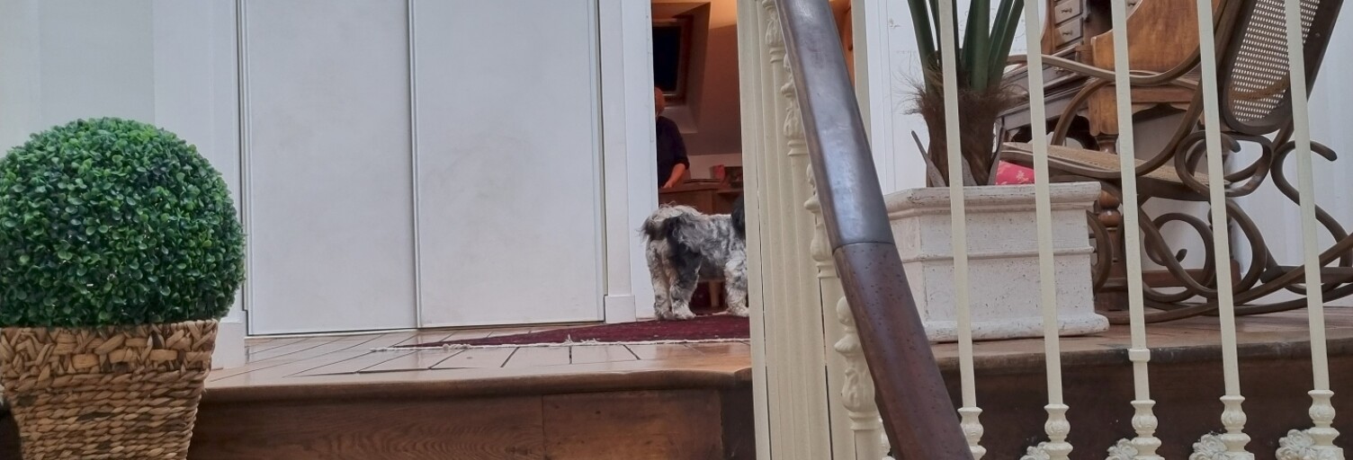 Appartement 8 Pièces 169 m² à vendre à Vannes (56000)