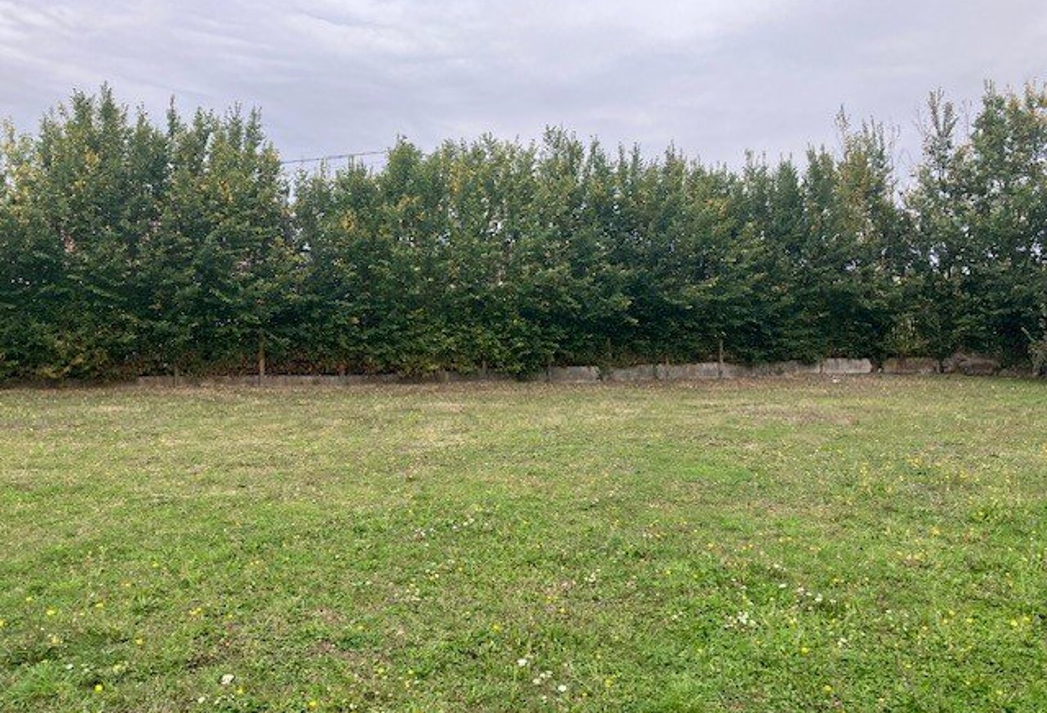 Terrain à vendre — photo 1