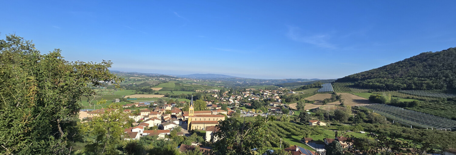 Terrain  3200 m² à vendre à Saint-Romain-de-Popey (69490)