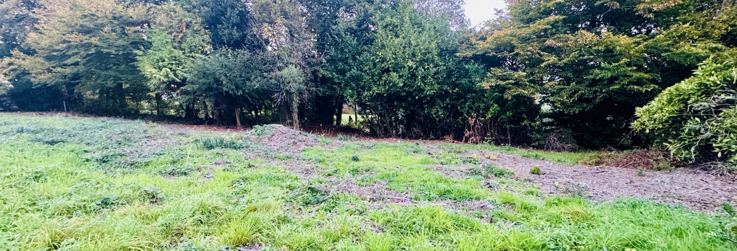 Terrain  648 m² à vendre à Saint-Martin-du-Vivier (76160)