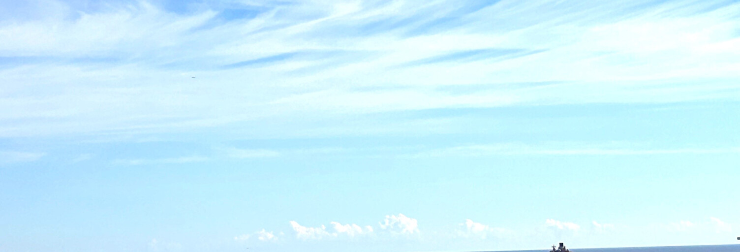 Appartement 2 Pièces 40 m² à louer à Cannes (06400)