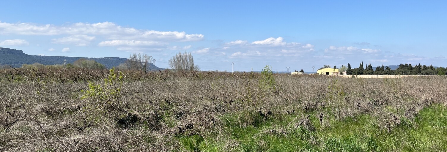 Terrain  6585 m² à vendre à Codolet (30200)