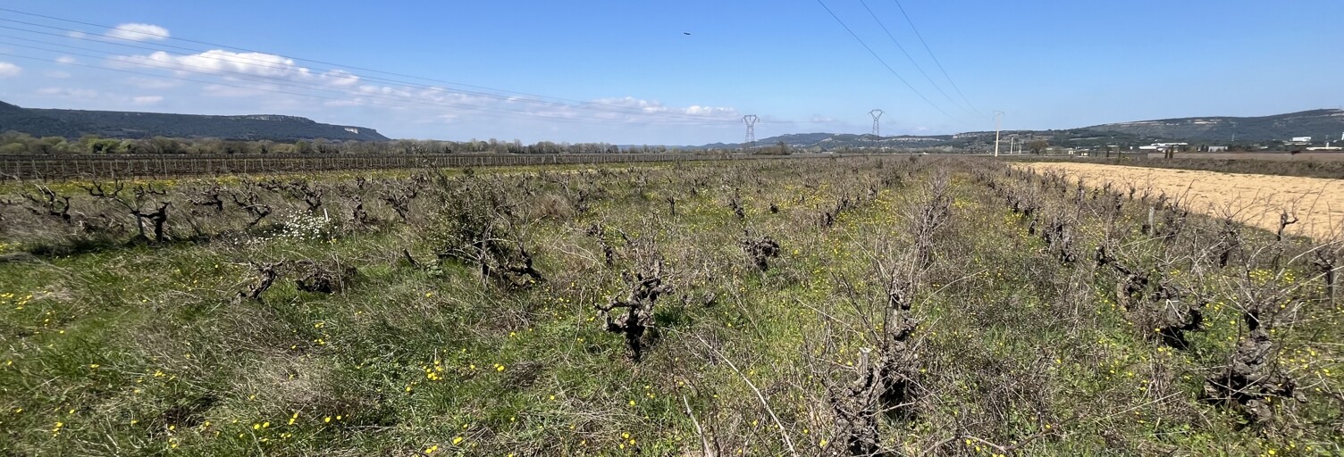 Terrain  3345 m² à vendre à Codolet (30200)