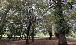 Maison 10 Pièces 230 m² à vendre à Saint-Jory-las-Bloux (24160)