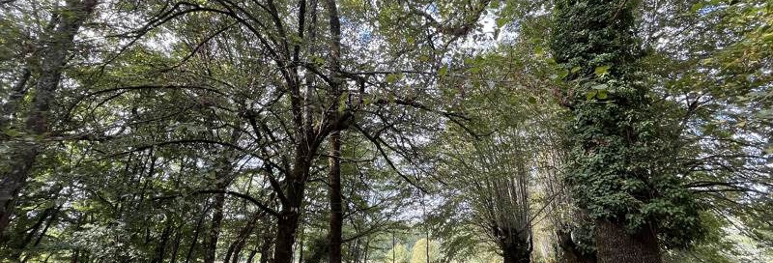 Maison 10 Pièces 230 m² à vendre à Saint-Jory-las-Bloux (24160)