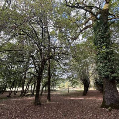 Maison 10 pièces 389610 €