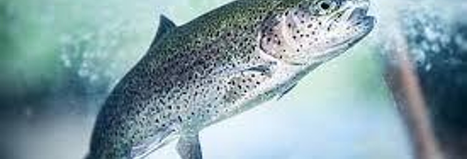 Commerce  30000 m² à vendre à Breuil (80400)