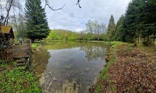 Terrain  5506 m² à vendre à Plancher-Bas (70290)