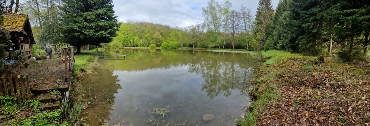 Terrain  5506 m² à vendre à Plancher-Bas (70290)